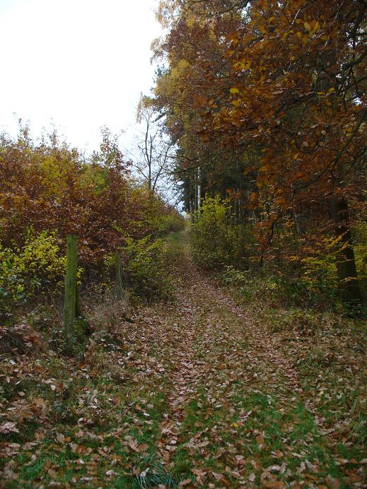 Herbst im Lindhorn